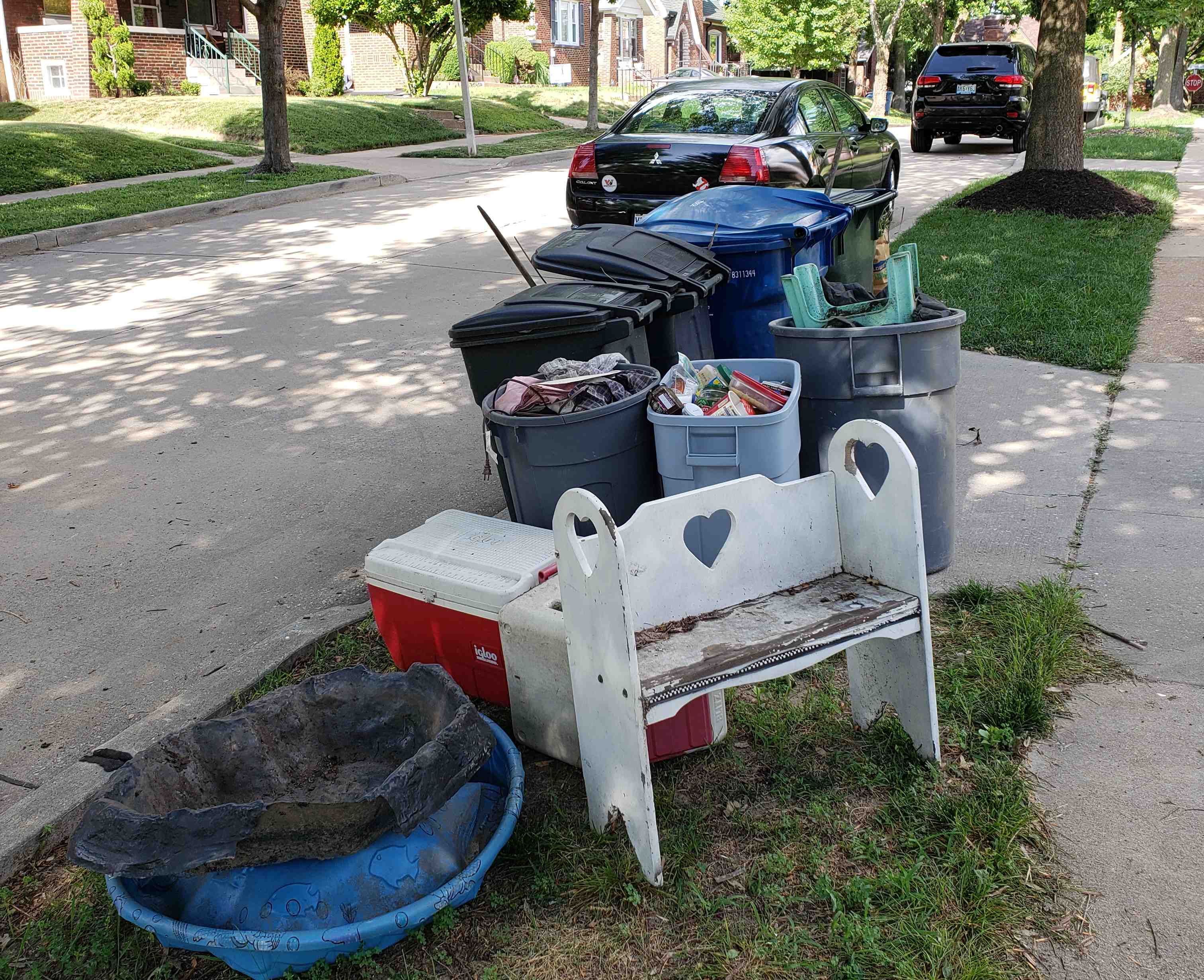 2018-06-19 Rhondas Trash Day Week 1.jpg